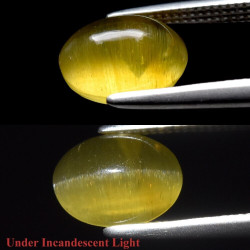 Apatite oeil de chat 1,84 carats