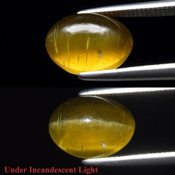 Apatite oeil de chat 3,21 carats