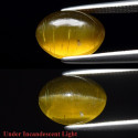 Apatite oeil de chat 3,21 carats