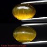 Apatite oeil de chat 3,21 carats