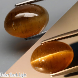Apatite oeil de chat 5,33 carats
