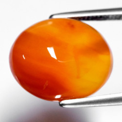 Cornaline 4,69 carats