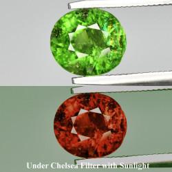 Tourmaline Chrome 1,47 carats