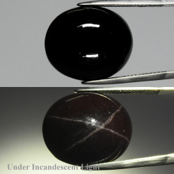 Grenat étoilé 31,32 carats