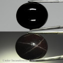 Grenat étoilé 31,32 carats