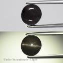 Sillimanite oeil de chat 2,48 carats